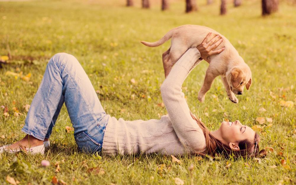 Пет-терапия